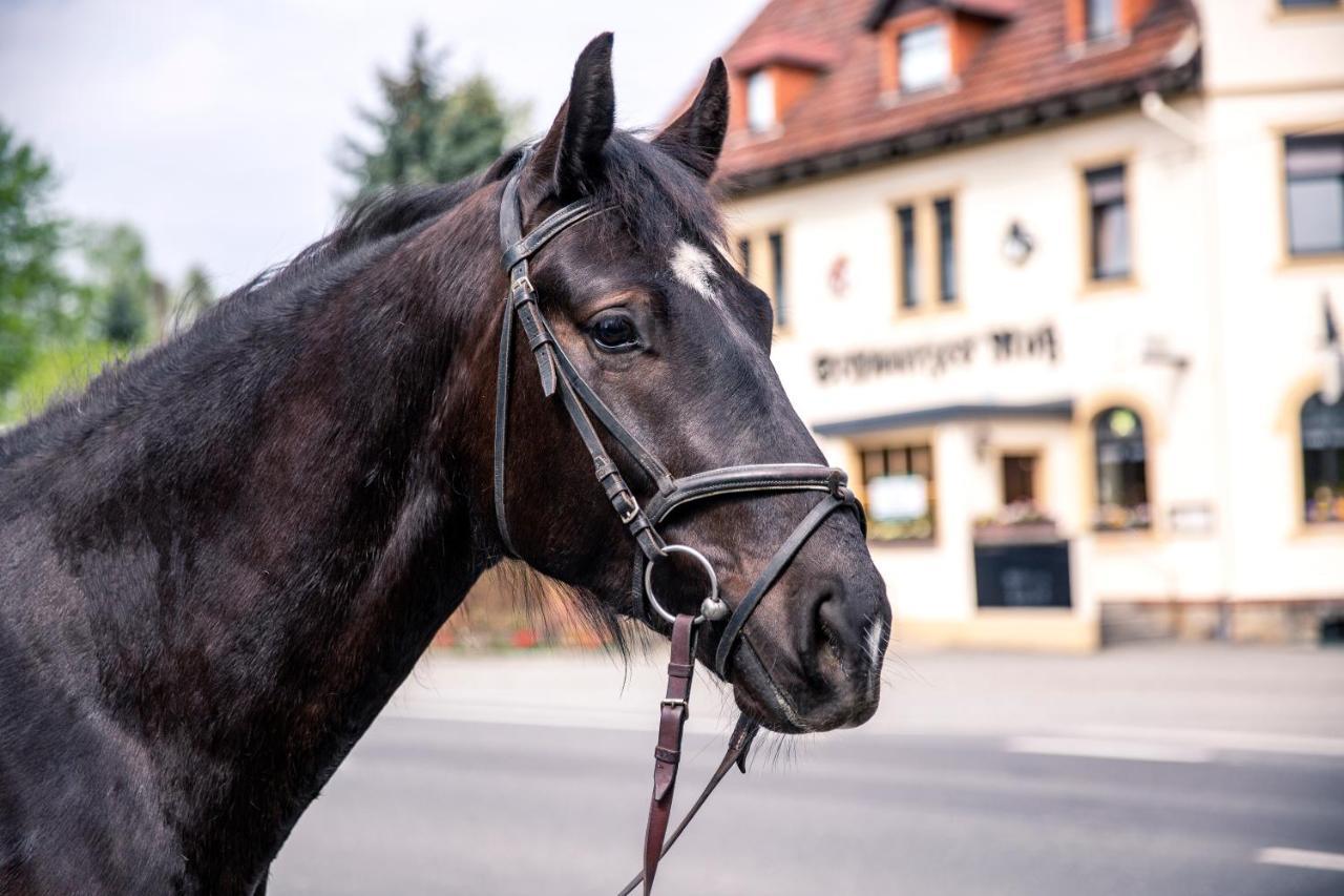 Schwarzes Ross Hotel Arnsdorf  Екстериор снимка